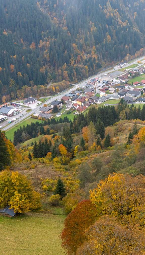 Blick von oben auf Viehhofen im herbstlichen Glemmtal mit bunten Laubbäumen, grünen Wiesen, dem Ortsgebiet im Tal und bewaldeten Berghängen. | © viehhofen.at, Der Fotoigel