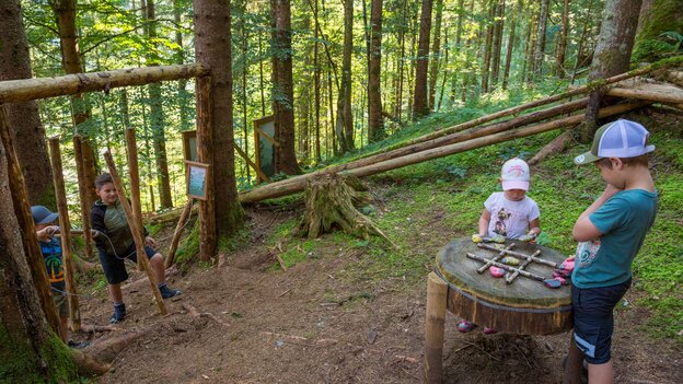 Kinder entdecken eine hölzerne Spielstation am Kinderwanderweg in Viehhofen, mitten im Wald mit verschiedenen Natur- und Bewegungselementen. | © viehhofen.at, Der Fotoigel