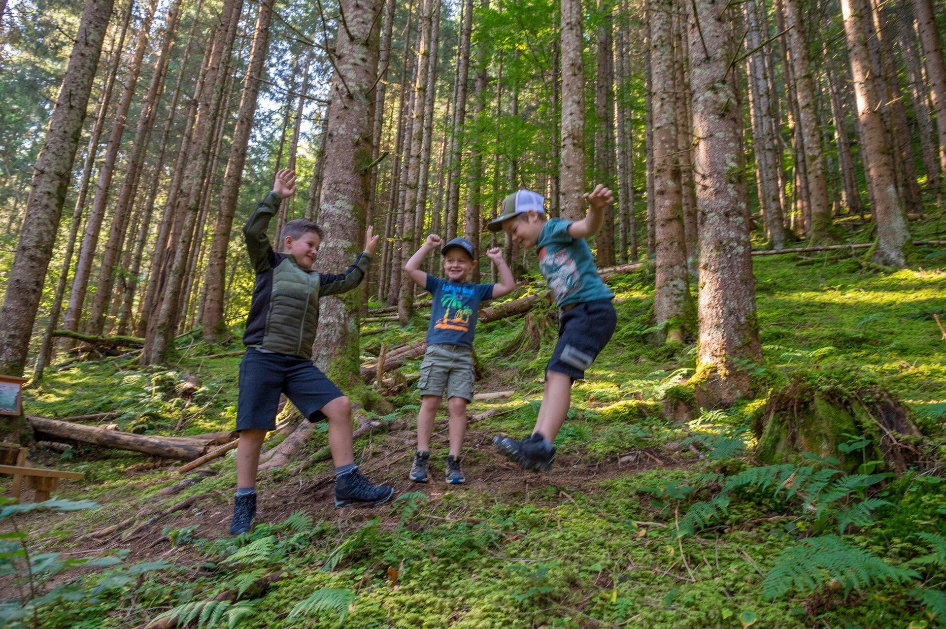 Drei Kinder spielen und springen gemeinsam im Wald entlang des Kinderwanderwegs in Viehhofen, umgeben von hohen Bäumen und grüner Natur. | © viehhofen.at, Der Fotoigel