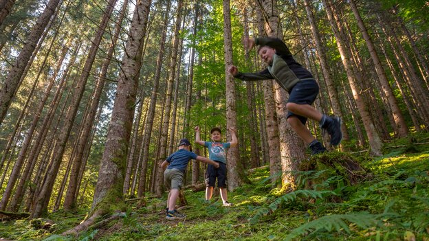 Drei Kinder spielen und springen gemeinsam im Wald entlang des Kinderwanderwegs in Viehhofen, umgeben von hohen Bäumen und grüner Natur. | © viehhofen.at, Der Fotoigel