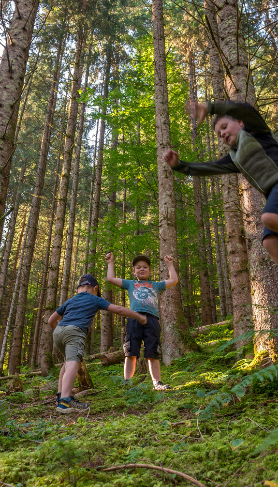 Drei Kinder spielen und springen gemeinsam im Wald entlang des Kinderwanderwegs in Viehhofen, umgeben von hohen Bäumen und grüner Natur. | © viehhofen.at, Der Fotoigel