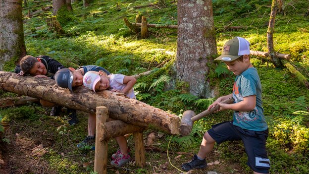 Vier Kinder entdecken eine Holzstation am Kinderwanderweg in Viehhofen; ein Kind schlägt mit einem Holzhammer auf einen Baumstamm, während die anderen beobachten. | © viehhofen.at, Der Fotoigel