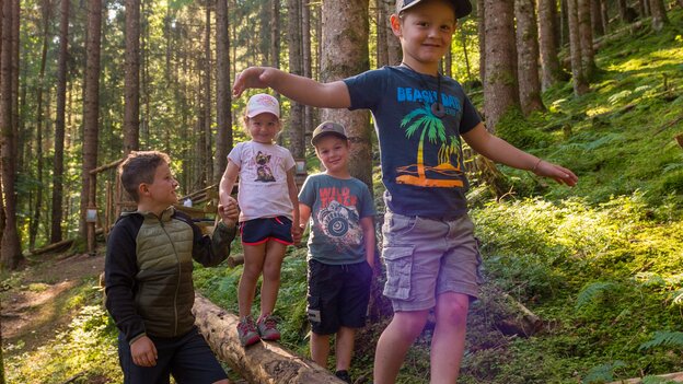 Vier Kinder balancieren und spielen auf einem Baumstamm am Kinderwanderweg in Viehhofen, während Sonnenlicht durch den Wald fällt. | © viehhofen.at, Der Fotoigel