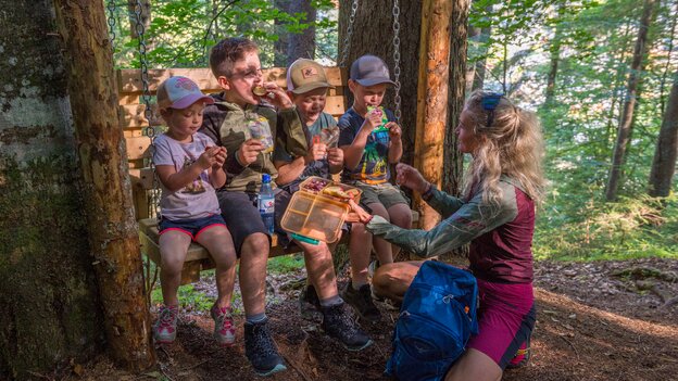 Familie macht am Kinderwanderweg in Viehhofen Pause auf einer hängenden Holzbank, während die Kinder essen und trinken. | © viehhofen.at, Der Fotoigel