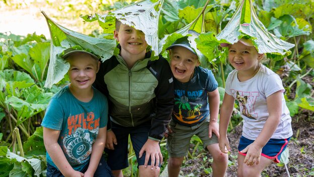 Vier Kinder am Kinderwanderweg in Viehhofen lachen unter großen grünen Blättern, die sie spielerisch wie Hüte über dem Kopf tragen. | © viehhofen.at, Der Fotoigel