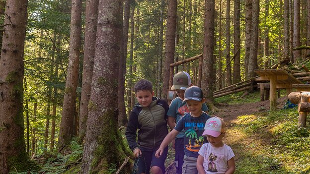 Vier Kinder wandern mit einem kleinen Hund durch den Wald am Kinderwanderweg in Viehhofen, während Sonnenlicht zwischen den Bäumen einfällt. | © viehhofen.at, Der Fotoigel