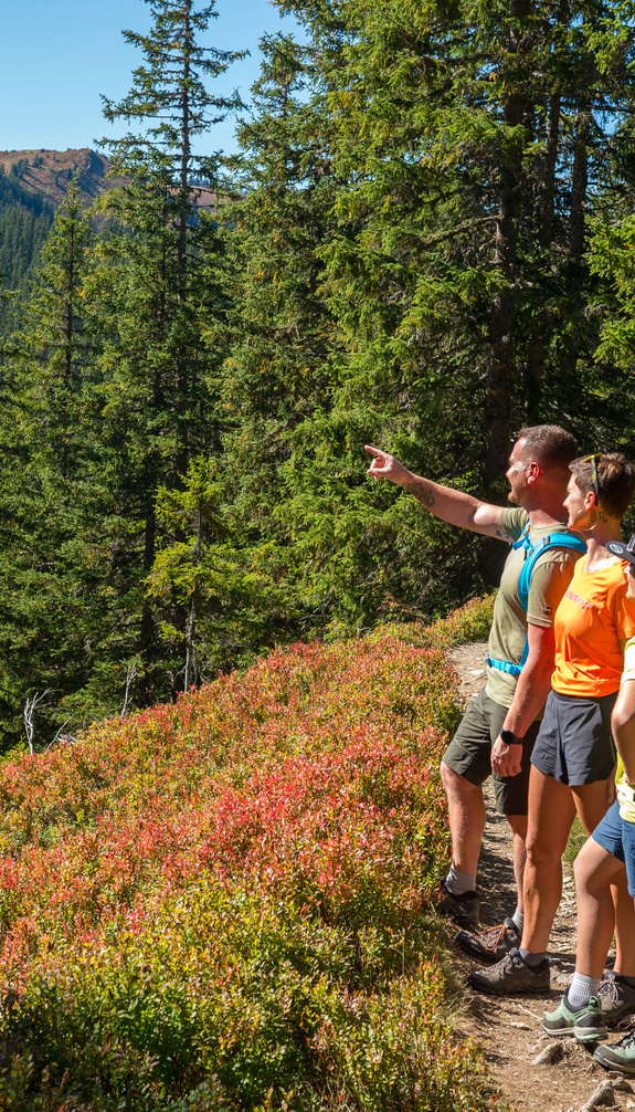 Family hiking on a narrow mountain trail in Viehhofen while an adult points towards the surrounding mountain landscape. | © viehhofen.at, Der Fotoigel