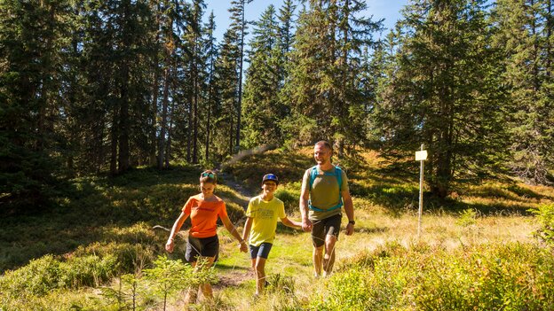 Familie wandert auf einem schmalen Naturweg in Viehhofen durch eine sonnige Wald- und Berglandschaft. | © viehhofen.at, Der Fotoigel
