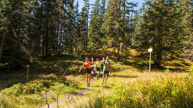 Familie wandert auf einem Naturweg in Viehhofen durch Wald und Wiesen, während ein Kind spielerisch über den Weg springt. | © viehhofen.at, Der Fotoigel