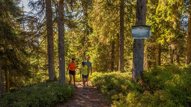 Familie wandert auf einem Naturweg in Viehhofen durch Wald und Wiesen, während ein Kind spielerisch über den Weg springt. | © viehhofen.at, Der Fotoigel