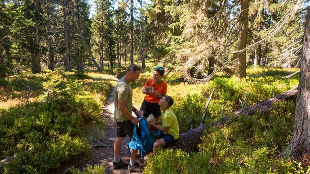 Ein Paar mit Kind macht bei einer Wanderung in Viehhofen eine Pause im Wald. Während der Mann am Rucksack steht, sitzt das Kind auf einem Baumstamm und die Frau hält eine Jause in der Hand. | © viehhofen.at, Der Fotoigel