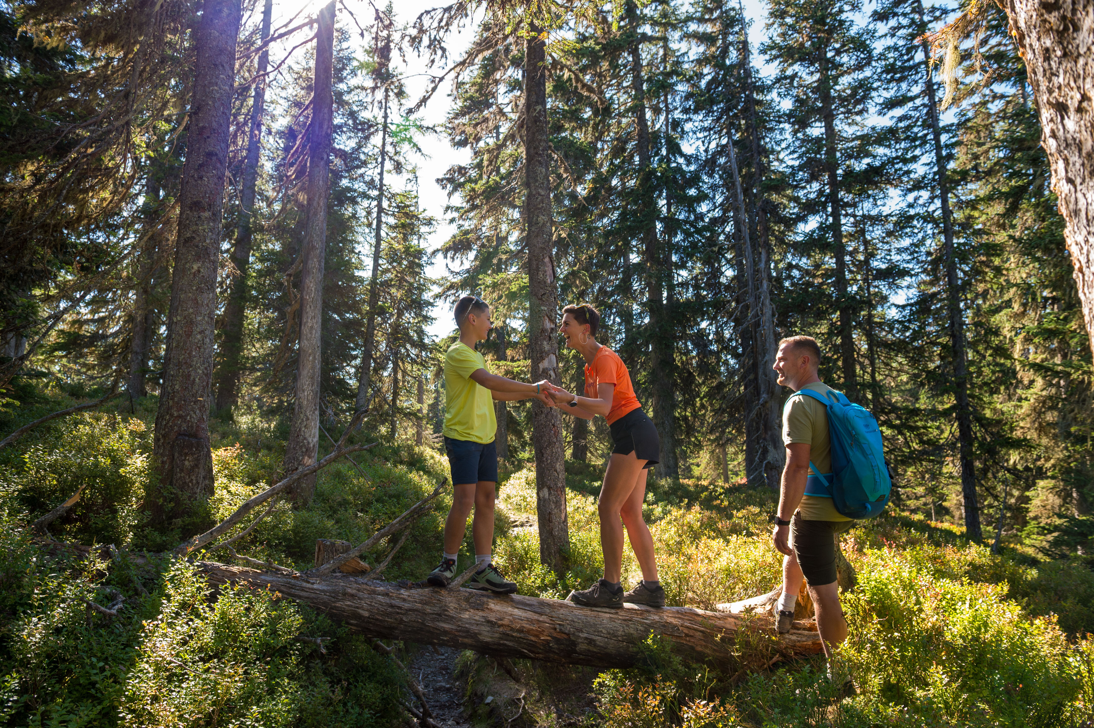 Family hiking in Viehhofen, with mother and child balancing together on a fallen tree trunk in the forest. | © viehhofen.at, Der Fotoigel