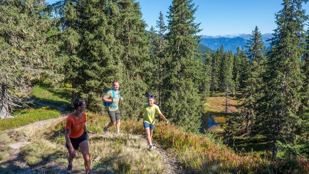 Family hiking at the Viehhofener Lacken in Viehhofen, following a nature trail through spruce trees with a small mountain pond and mountain views. | © viehhofen.at, Der Fotoigel