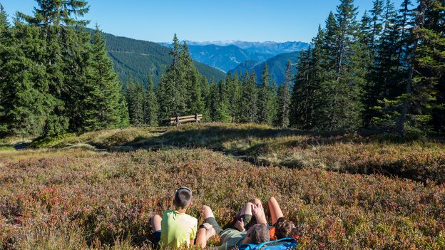 Familie liegt auf einer Bergwiese in Viehhofen und genießt den Ausblick auf Wälder, Berge und die weite Landschaft. | © viehhofen.at, Der Fotoigel