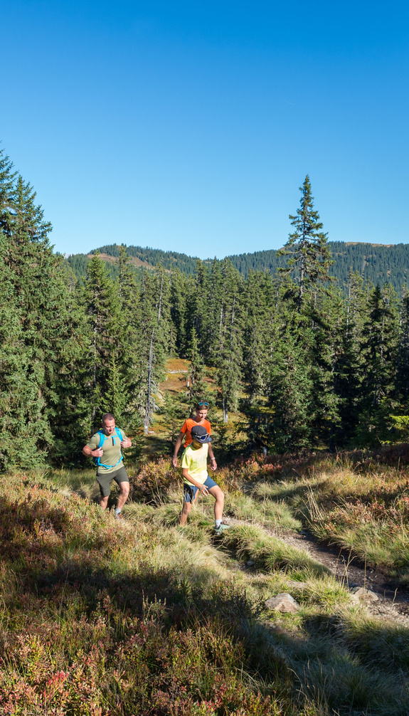 Familie beim Wandern auf einem schmalen Naturweg in Viehhofen, umgeben von Fichtenwald und grüner Bergvegetation. | © viehhofen.at, Der Fotoigel
