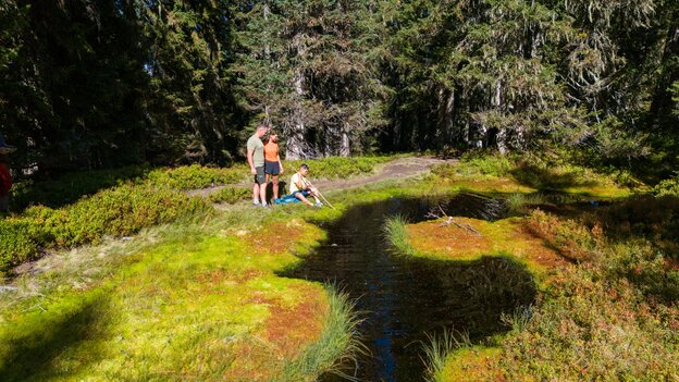 Familie beim Sommerwandern in Viehhofen an einem kleinen Naturteich im Wald, während ein Kind mit einem Stock das Wasser erkundet. | © viehhofen.at, Der Fotoigel