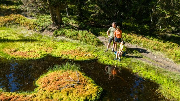 Familie entdeckt einen kleinen Teich in der Natur von Viehhofen, während ein Kind mit einem Stock das Wasser erkundet. | © viehhofen.at, Der Fotoigel