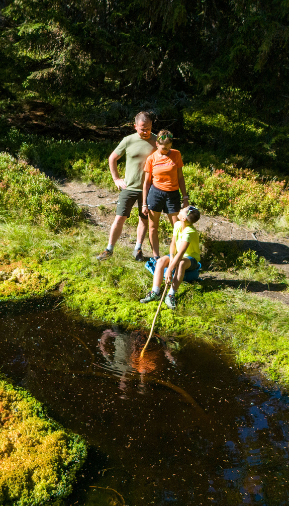 Family exploring a small pond in the natural surroundings of Viehhofen, while a child explores the water with a stick. | © viehhofen.at, Der Fotoigel