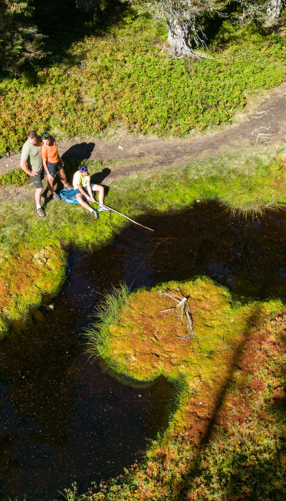 Familie beim Sommerwandern in Viehhofen an einem kleinen Naturteich, umgeben von grüner Vegetation und Wald. | © viehhofen.at, Der Fotoigel