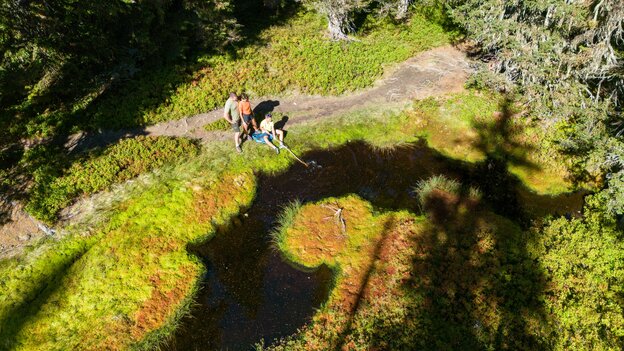 Family hiking in Viehhofen in summer beside a small natural pond, surrounded by green vegetation and forest. | © viehhofen.at, Der Fotoigel