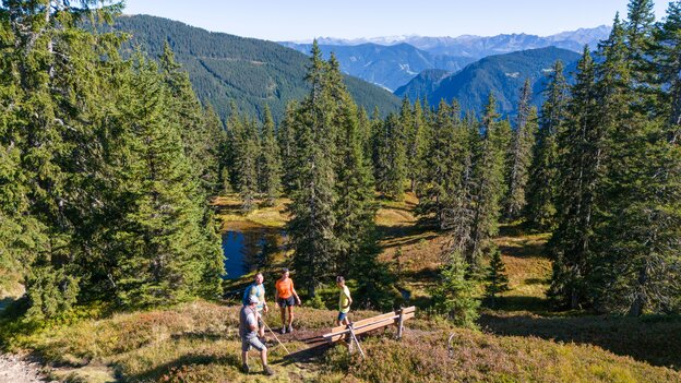 Wandergruppe bei einer Rast an einem kleinen Naturteich in Viehhofen, umgeben von Wald und mit weitem Blick auf die umliegende Bergwelt. | © viehhofen.at, Der Fotoigel