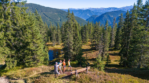 Group of hikers near a small natural pond in Viehhofen, surrounded by spruce forest with wide views of the surrounding mountain landscape. | © viehhofen.at, Der Fotoigel