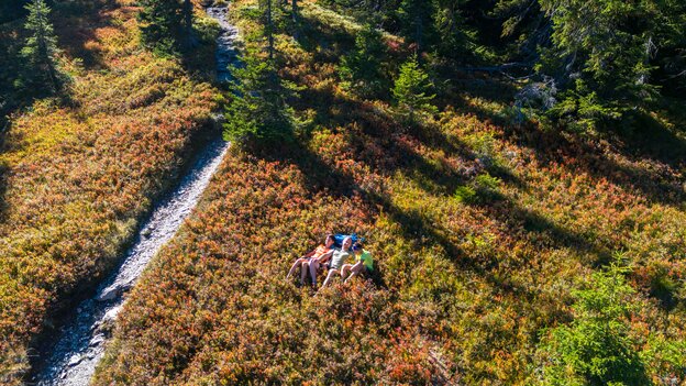 Familie macht beim Wandern in Viehhofen eine Pause zwischen niedrigem Bergbewuchs, direkt neben einem schmalen Wanderweg in der Natur. | © viehhofen.at, Der Fotoigel