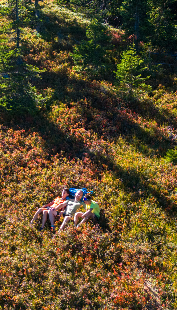 Family taking a break while hiking in Viehhofen, resting among low mountain vegetation beside a narrow hiking trail. | © viehhofen.at, Der Fotoigel