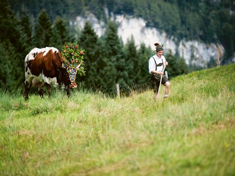Bauernherbst | Veranstaltungen | Almabtrieb | © SalzburgerLand Tourismus