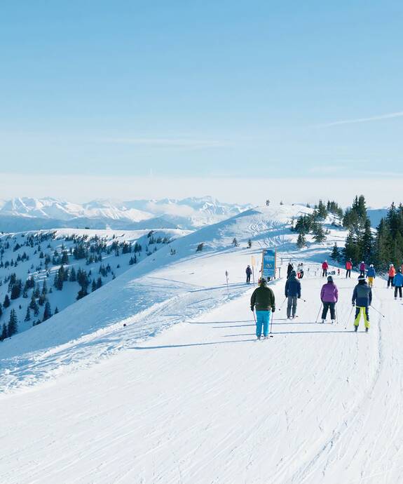 Das idyllische Bergdorf Viehhofen befindet sich inmitten der großen Skigebiete. | © viehhofen.at