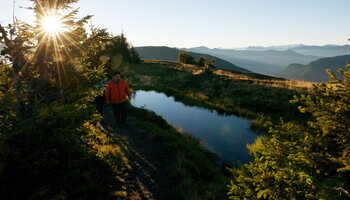 Mann steht bei einem kleinem Teich  | © viehhofen.at