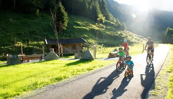 family biking in Viehhofen  | © viehhofen.at