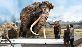 IJstijd Museum | © Haus der Natur | Simmerstatter