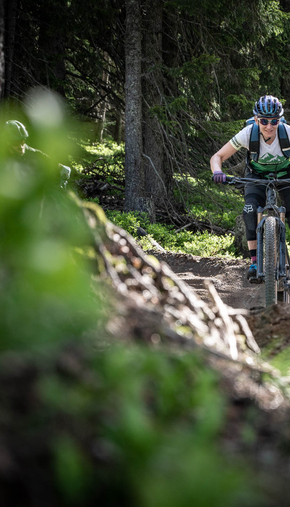 MTB-Tour in the forest | © Rene Sendlhofer