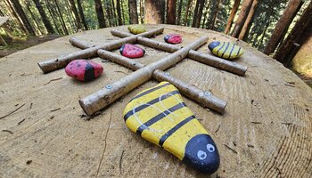 Tic Tac Toe Spiel am Kinderwanderweg in Viehhofen. Wer gewinnt Biene oder Marienkäfer? | © viehhofen.at