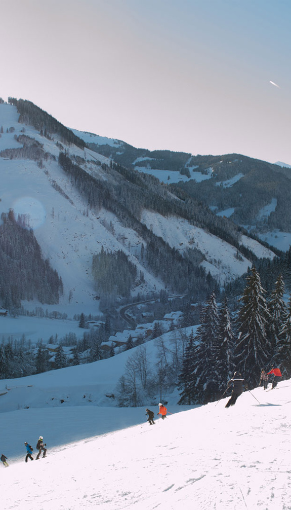 Skier with mountain view | © viehhofen.at